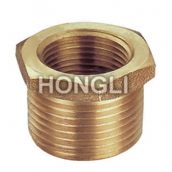 Brass Fitting