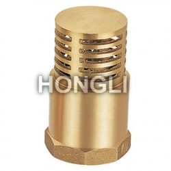 Stop Check Valve