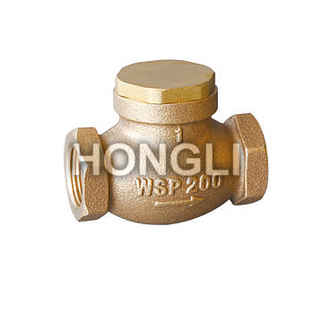 Water Check Valves