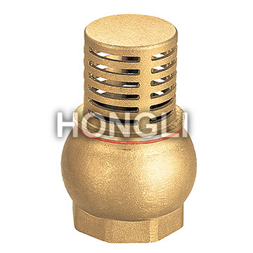 Bronze Check Valve Plumbing