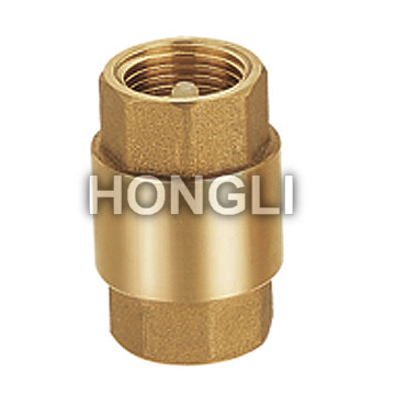 Standard Check Valves