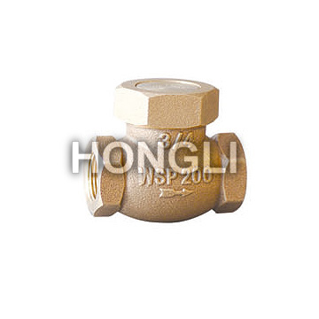 Sanitary Check Valve