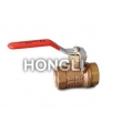 Mini Bronze Ball Valves