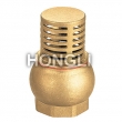 Bronze Check Valve Plumbing
