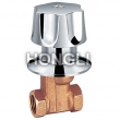 Shower Valve
